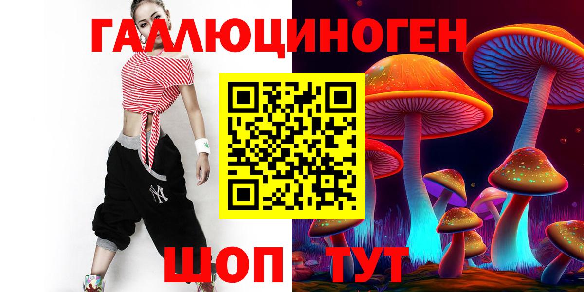 дарнет шоп  Псилоцибиновые грибы GOLDEN TEACHER  Вход с VPN  Кольчугино 