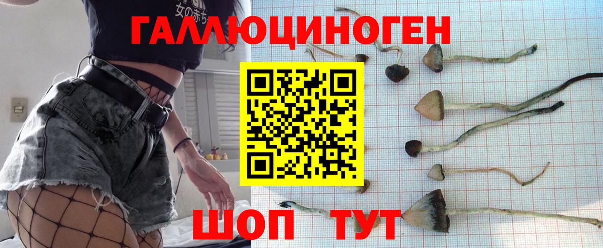 Псилоцибиновые грибы мухоморы Кольчугино